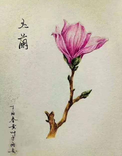 1491474735848244Gz76.png QQ圖片20170406183205.png